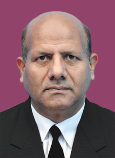 Law and Constitution Books